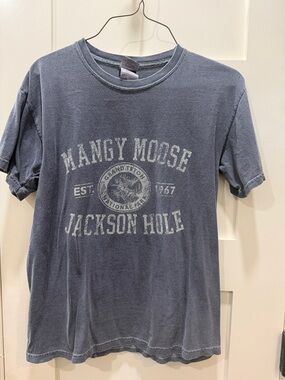 Mangy Moose Jackson Hole Graphic Tee - Faded Blue